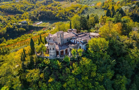 À vendre Château Zone tranquille Cesena Emilia-Romagna